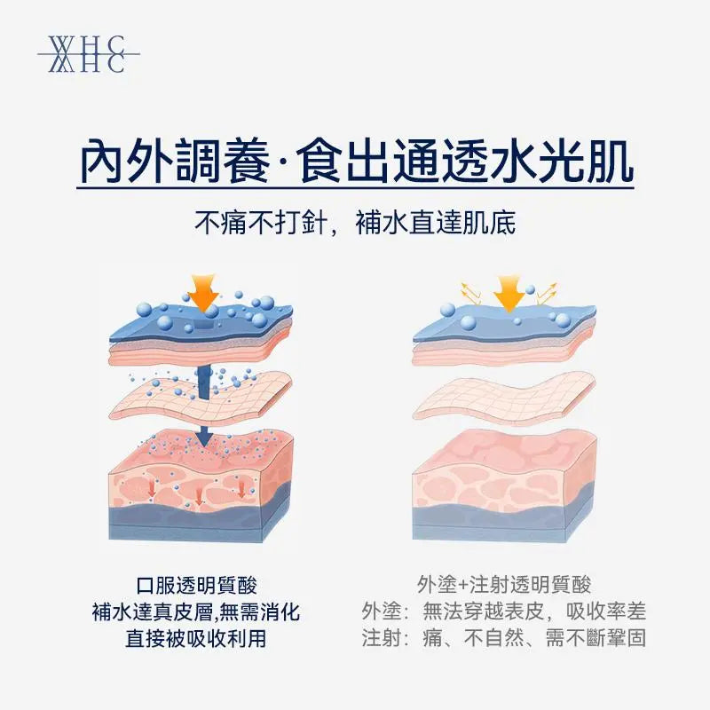 O'HISA 灰姑娘 維他命B雜 口服透明質酸 蝦青素 抗衰老 護膚護髮 60粒 - WHC HK